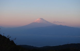 達磨山