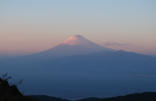 達磨山からの富士山