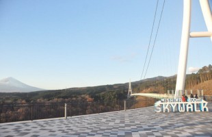 スカイウォークと富士山